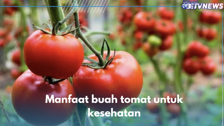 10 Manfaat Buah Tomat untuk Kesehatan, Salah Satunya Turunkan Resiko Kanker