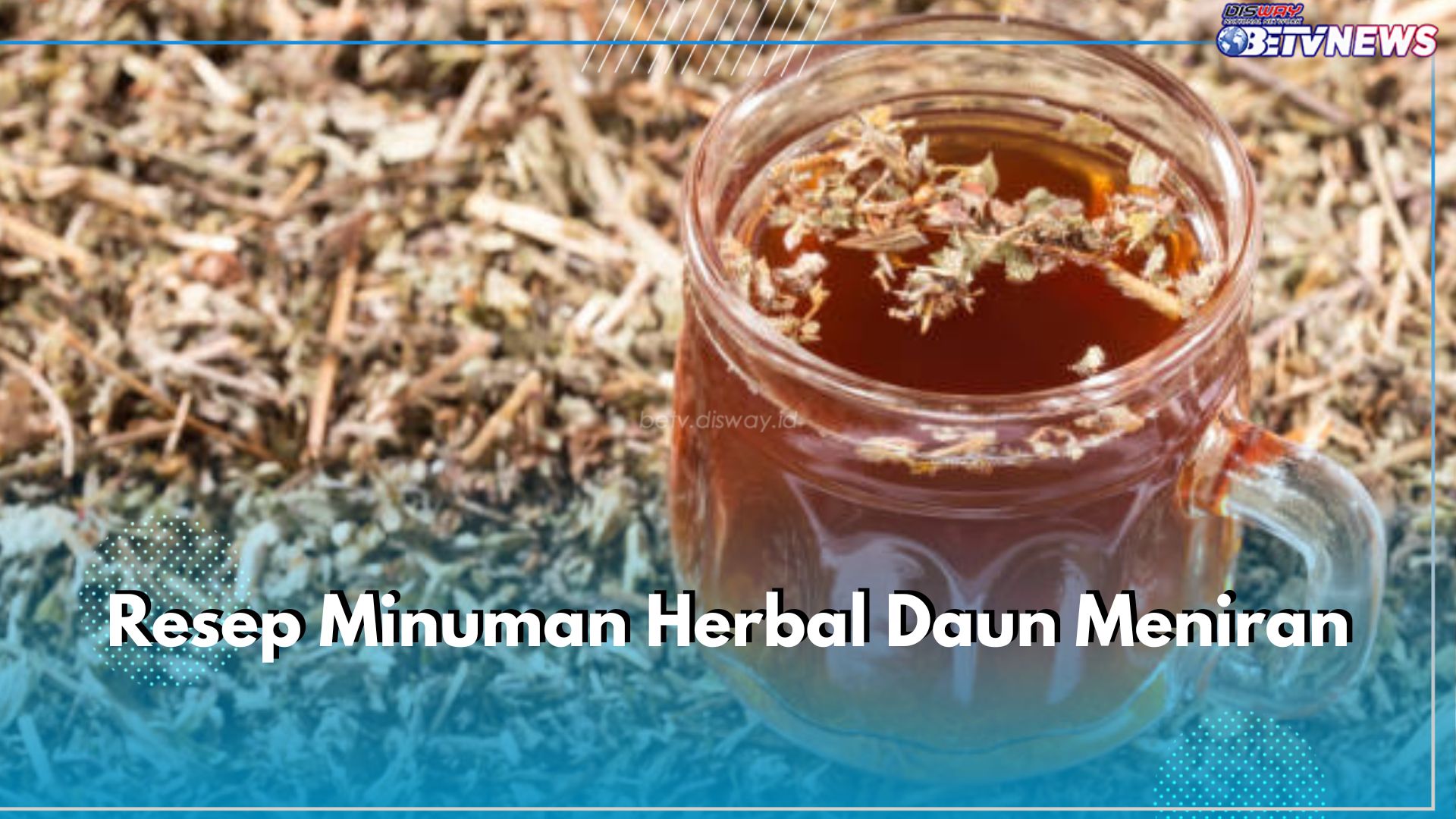 4 Resep Minuman Herbal Daun Meniran, Sehat dan Penuh Khasiat, Yuk Coba!