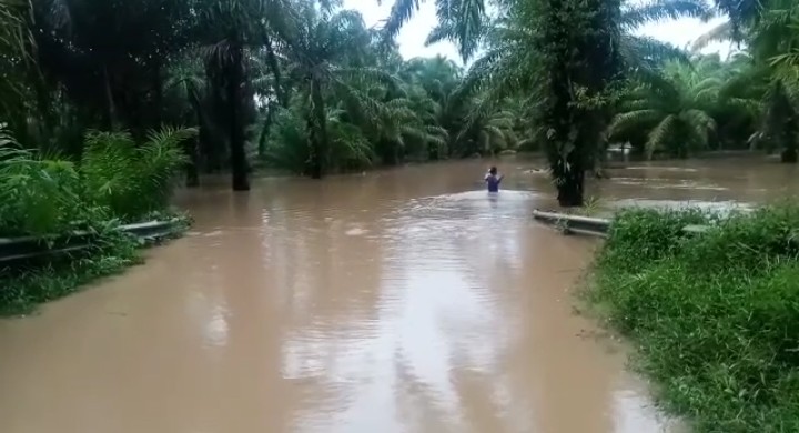 Banjir Lumpuhkan Jalan Menuju ke Desa Pasar Seluma 