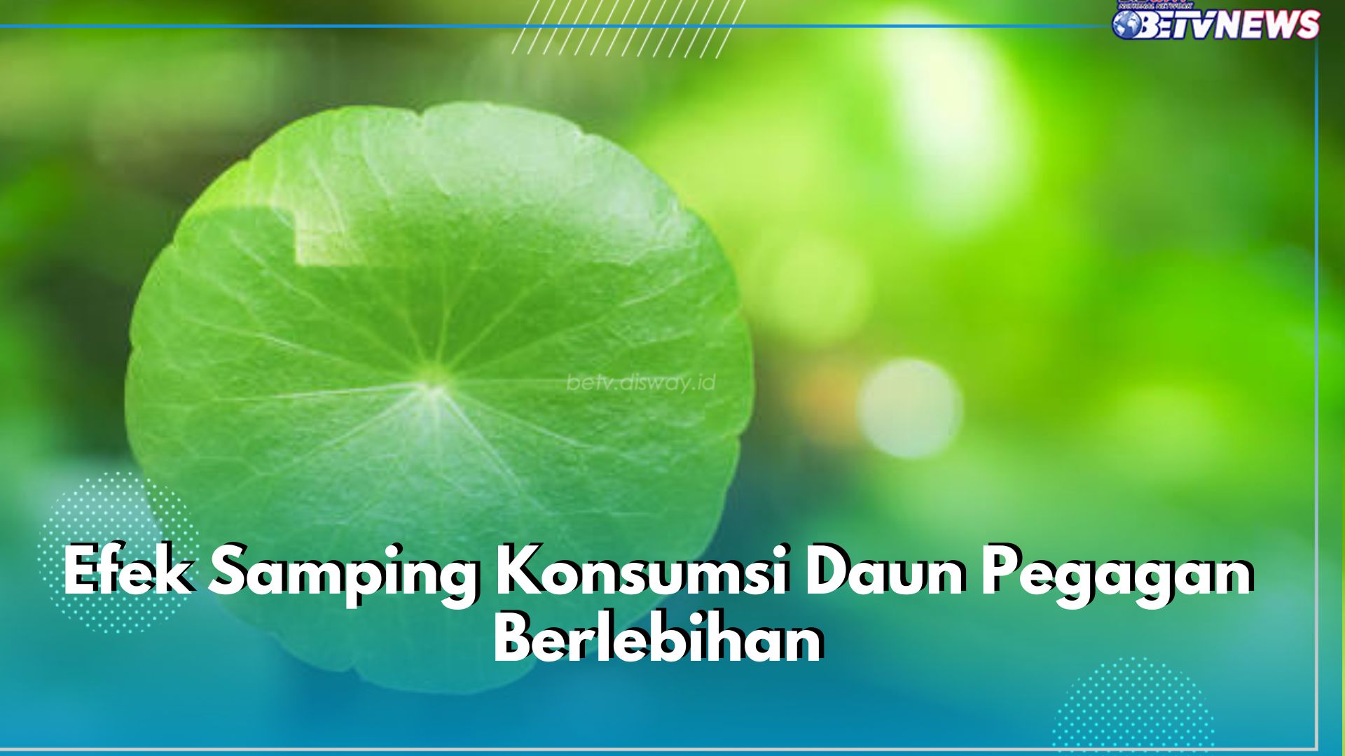 Kenali 5 Efek Samping Konsumsi Daun Pegagan Berlebihan Ini dan Batasi Asupannya!