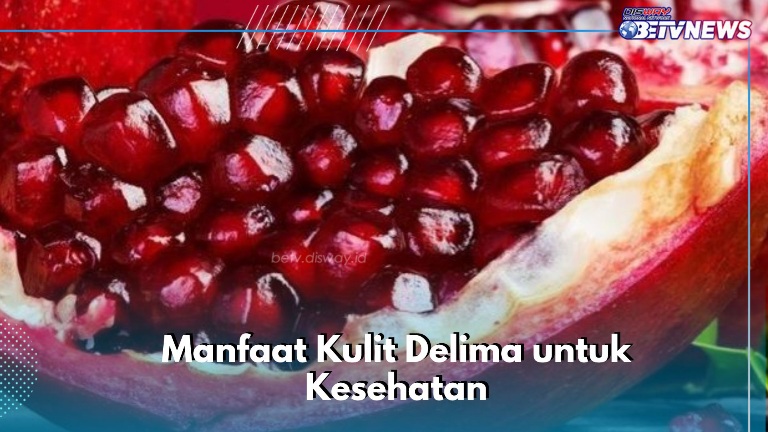 Bisa Jadi Obat Jerawat, Ini Manfaat Kulit Delima yang Perlu Diketahui, Cek Sekarang