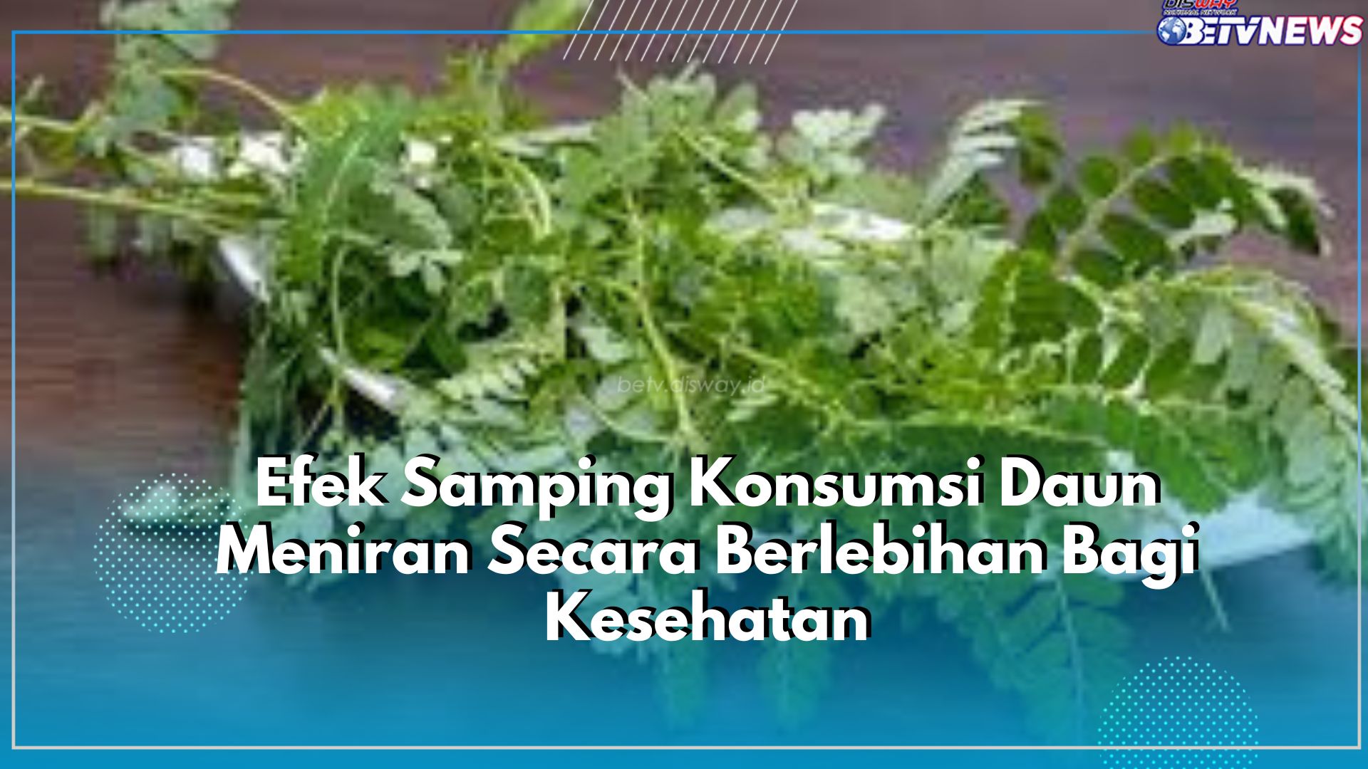 Konsumsi Berlebihan Memicu Masalah Buruk Bagi Kesehatan, Ini Dia Efek Samping Daun Meniran