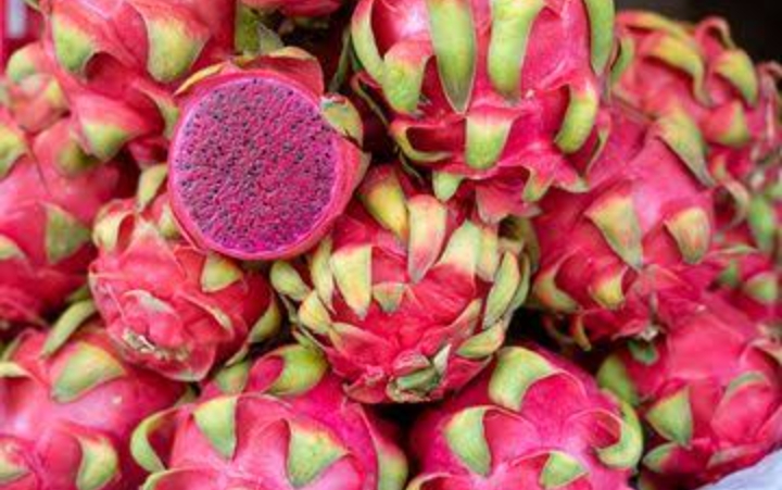 4 Manfaat Buah Naga untuk Kecantikan Kulit, Yuk Gunakan Secara Rutin!