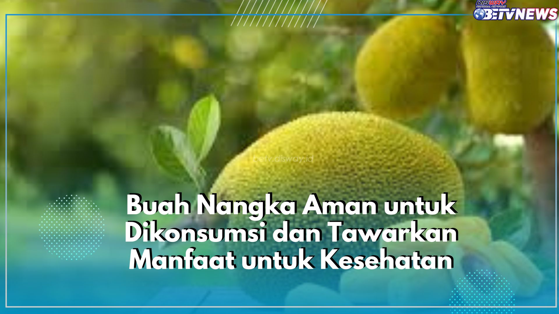 Jaga Kesehatan Tubuh dengan Konsumsi Buah Nangka, Cek Manfaatnya Disini!