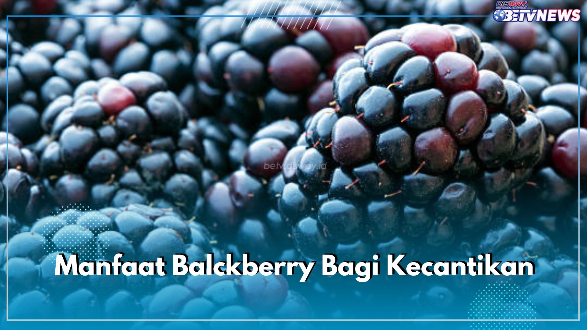 Intip Sederet Manfaat Makan Blackberry Bagi Kecantikan, Bagus Untuk Merawat Kulit Wajah