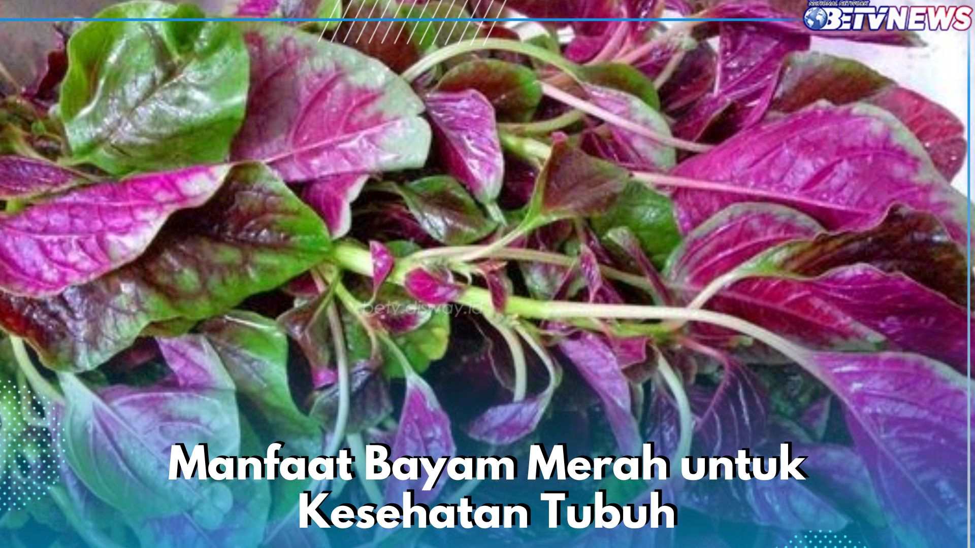 Bayam Merah Baik untuk Kesehatan Mata, Ini Manfaat Lain yang Dapat Kamu Ketahui