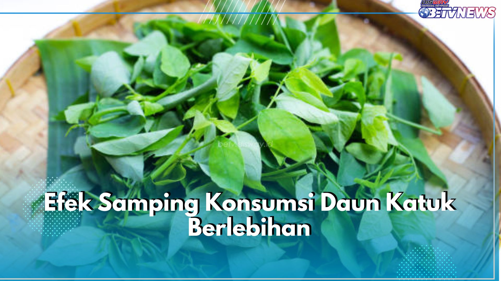 Jangan Lengah! Ini  5 Efek Samping Konsumsi Daun Katuk Berlebihan, Bisa Sebabkan Masalah Pencernaan