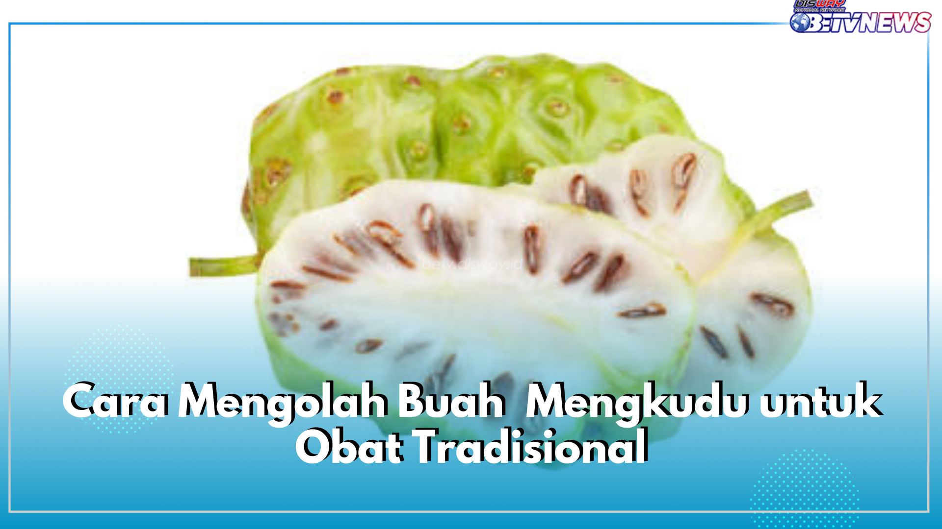 Buah Mengkudu Baik untuk Kesehatan, Ini 5 Cara Mengolahnya untuk Obat Tradisional