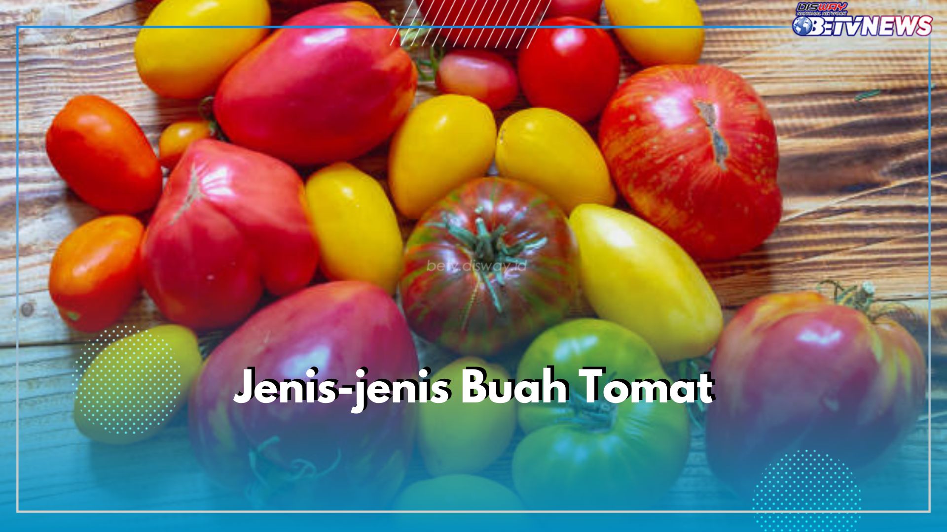 Sudah Tahu? Ini 7 Jenis Buah Tomat yang Ada di Indonesia, Nomor 1 Paling Mudah Ditemui