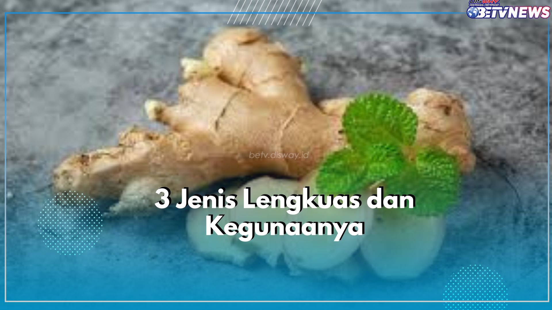 Ini Dia Jenis Lengkuas yang Jarang Diketahui, Masing-masing Miliki Kegunaan Berbeda