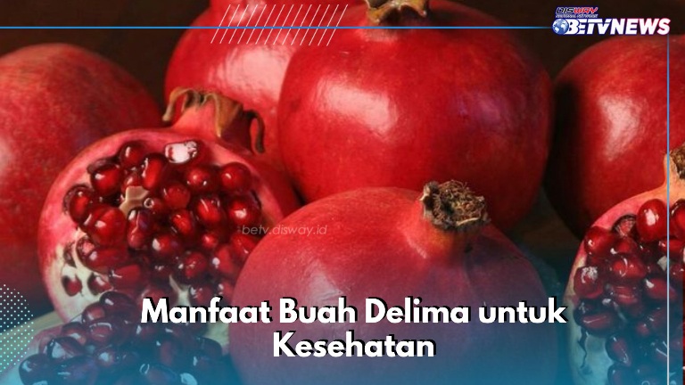Cek di Sini, Bisa Terhindar dari Radikal Bebas, Ini Manfaat Buah Delima yang Perlu Diketahui