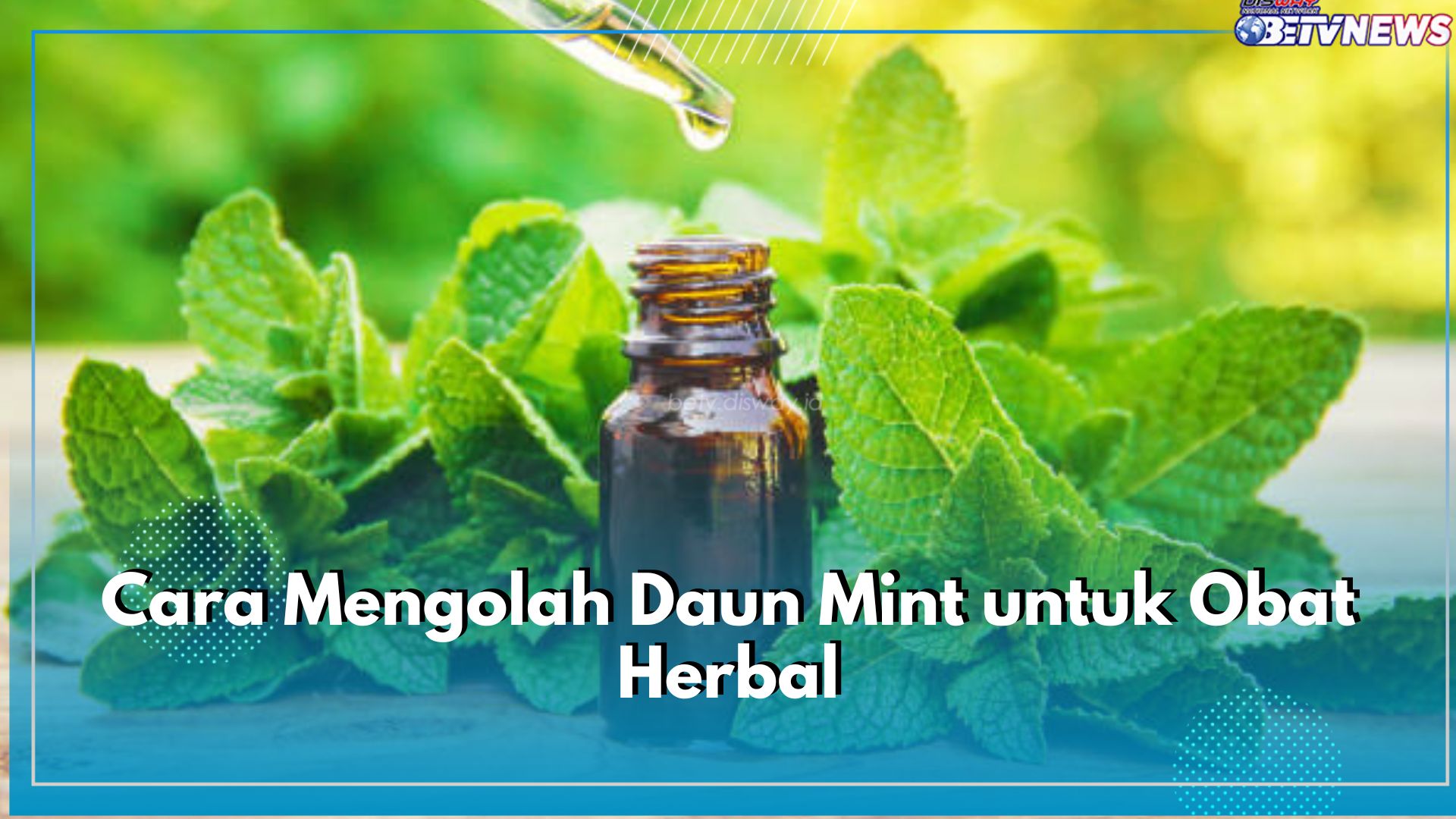 Dibuat Jadi Teh hingga Infused Water, Begini 6 Cara Olah Daun Mint untuk Obat Herbal