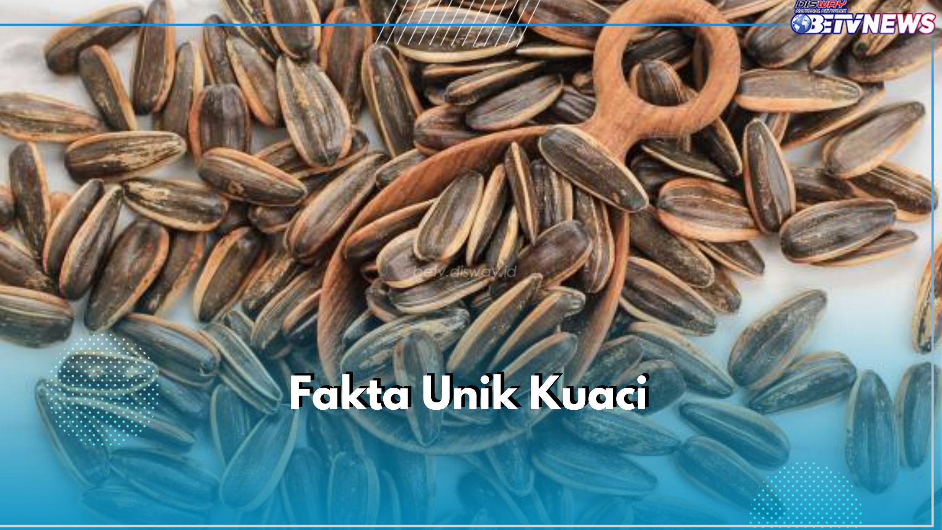 Bukan Camilan Biasa, Ini 6 Fakta Unik Kuaci yang Perlu Kamu Ketahui