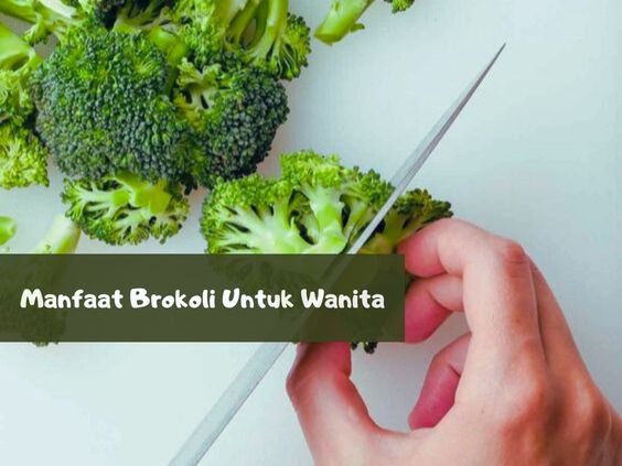 Inilah Sederet Manfaat Brokoli Untuk Wanita, Dapat Meningkatkan Kesuburan, Cek Khasiat Lainnya!