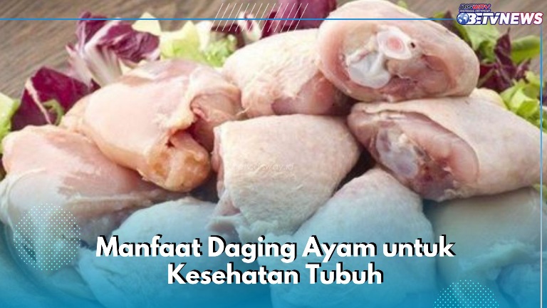 Daging Ayam Punya Protein Tinggi, Ini 7 Manfaat yang Sayang Dilewatkan, Aman untuk Dikonsumsi