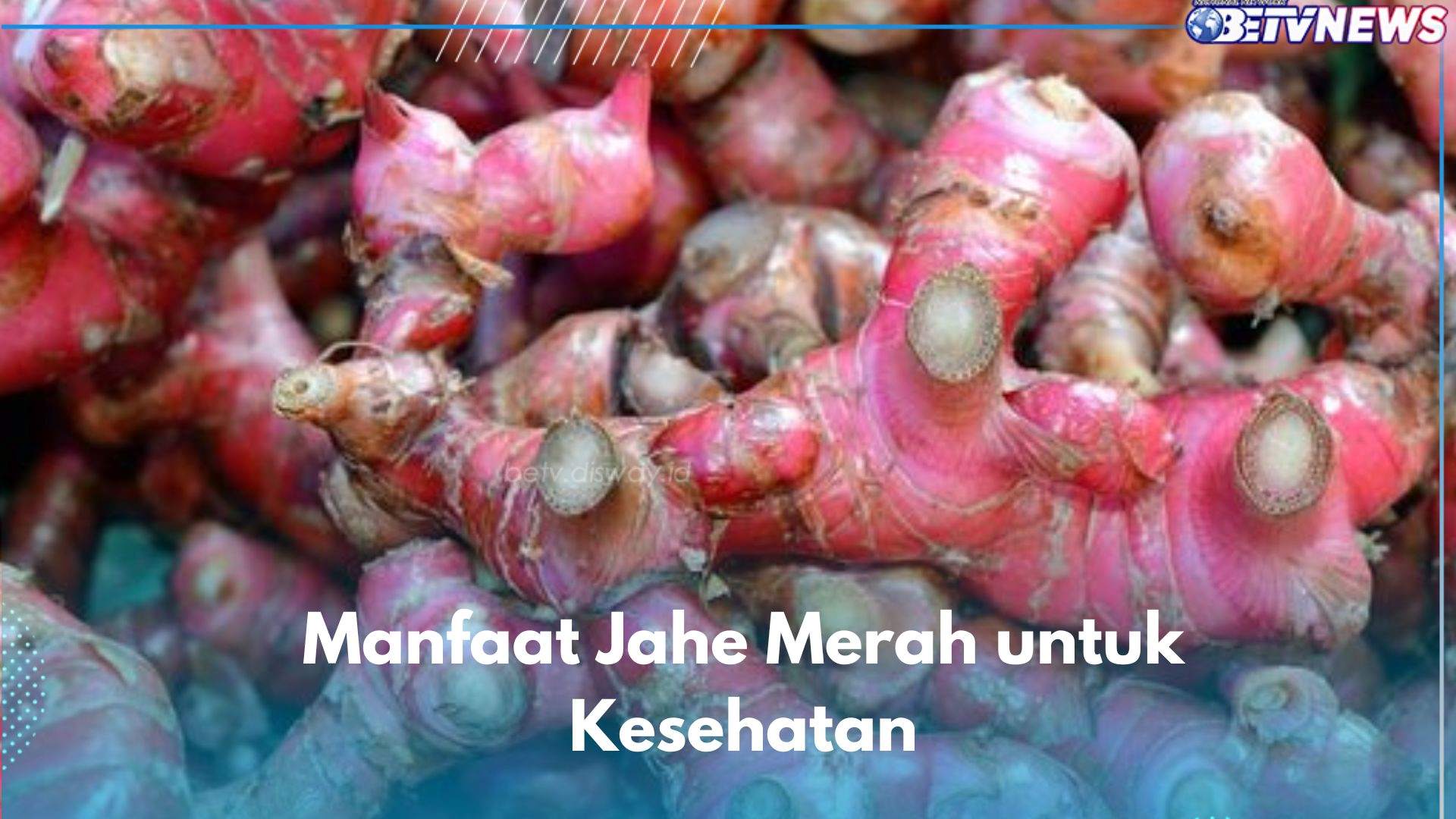 6 Manfaat Jahe Merah yang Jarang Diketahui, Dipercaya Ampuh Meredakan Sakit Tenggorokan