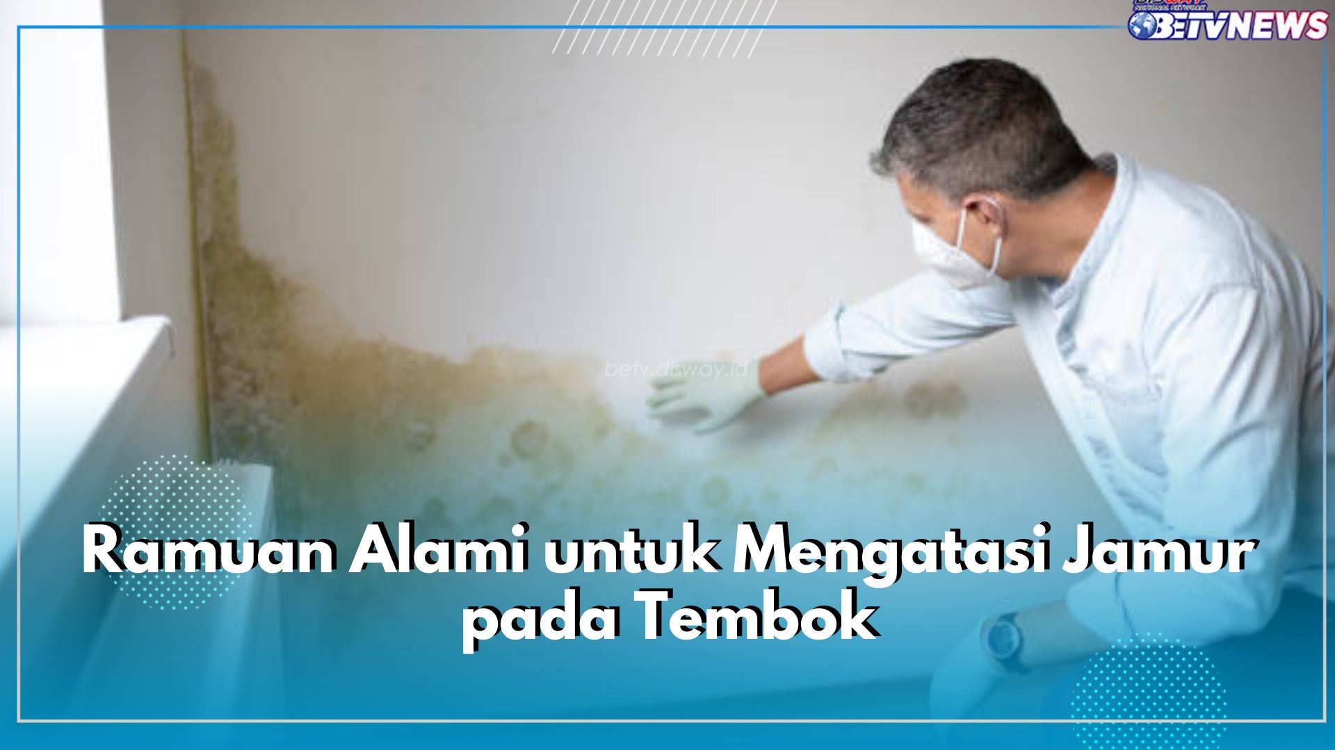 Tak Perlu Bahan Kimia! Gunakan 5 Ramuan Alami Ini untuk Atasi Jamur di Tembok