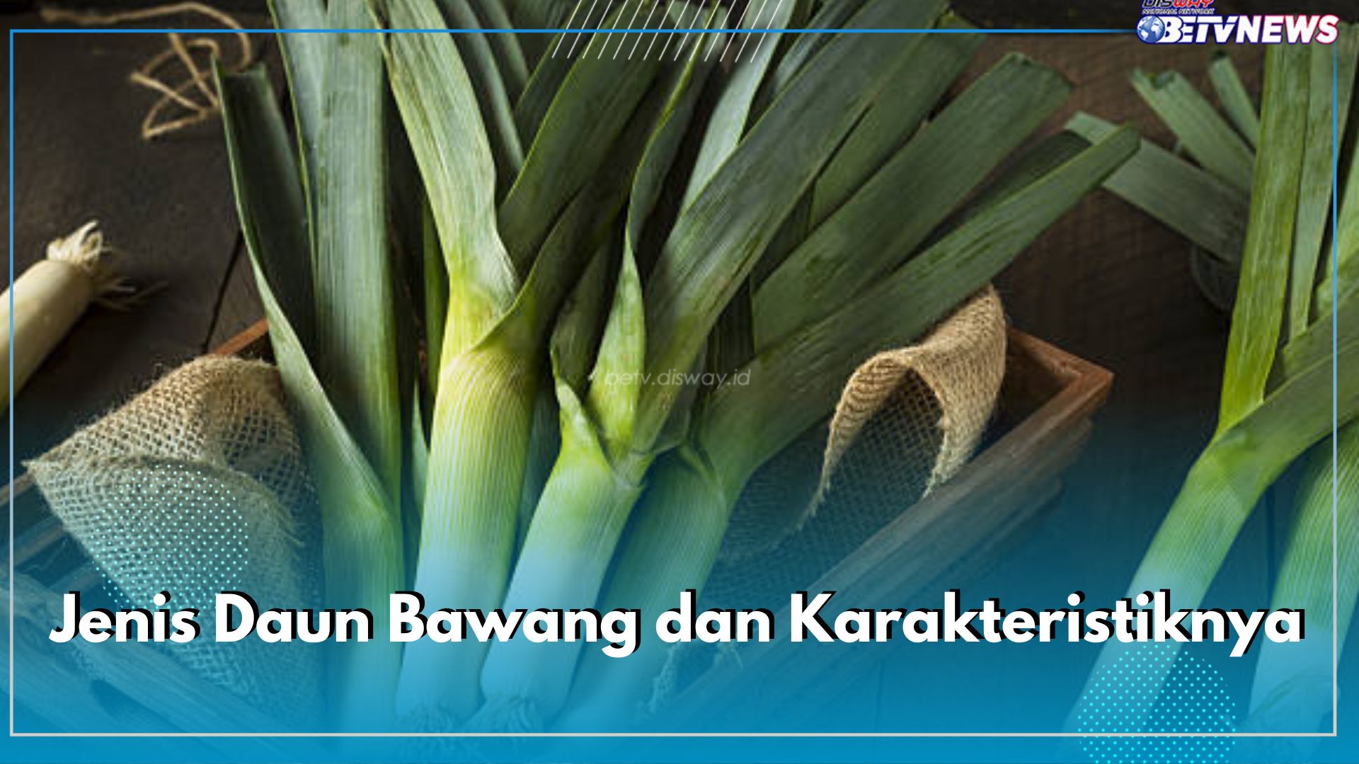 7 Jenis Daun Bawang dan Karakteristiknya, Yuk Ketahui Perbedaaannya!