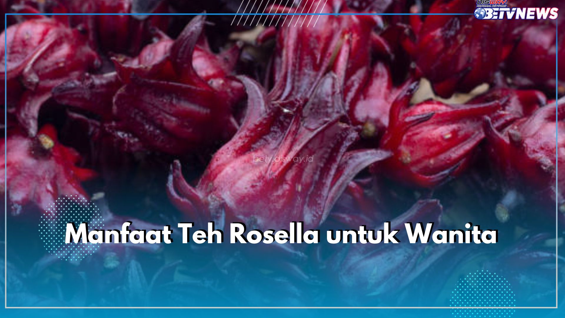 Wanita Wajib Tahu, Inilah Ragam Manfaat Mengonsumsi Teh Rosella untuk Kesehatannya