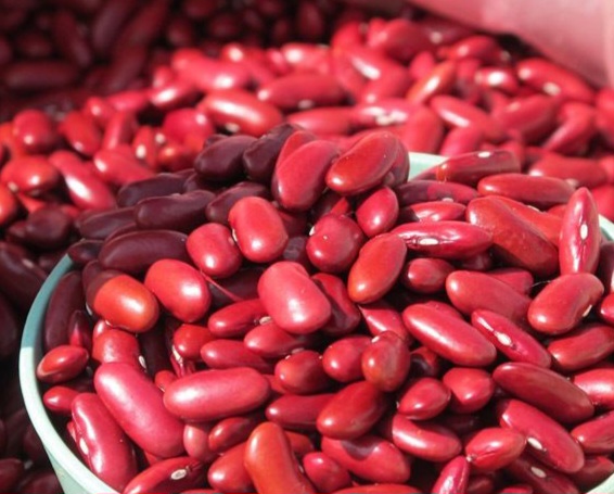 Bisa Sebabkan Hal Ini, 7 Efek Samping Konsumsi Kacang Merah Berlebihan bagi Kesehatan