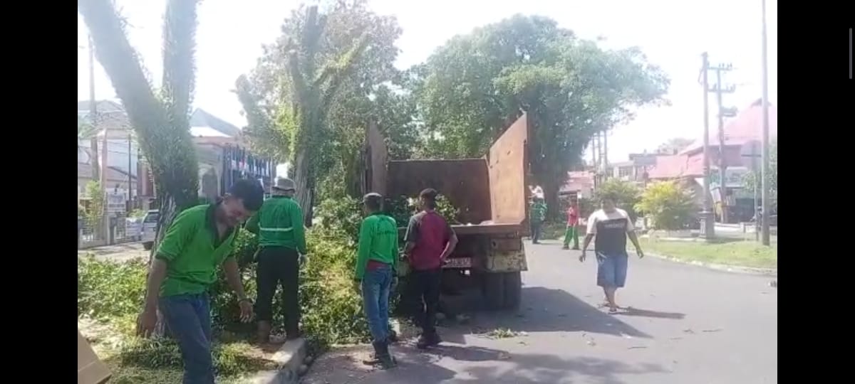 BREAKING NEWS: Puluhan Pohon di Jl Ahmad Yani Dipangkas