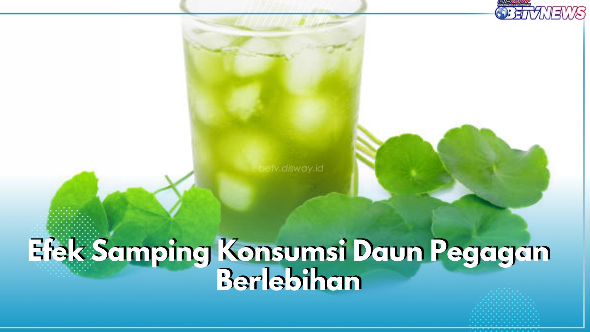 5 Efek Samping Konsumsi Daun Pegagan Berlebihan yang Perlu Diwaspadai, Bisa Sebabkan Gangguan Pencernaan