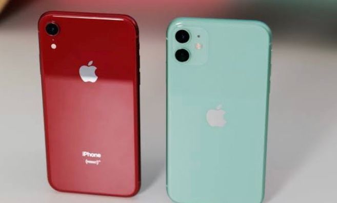 iPhone XR VS 11 - Fitur, Spesifikasi, dan Harga per Januari 2024