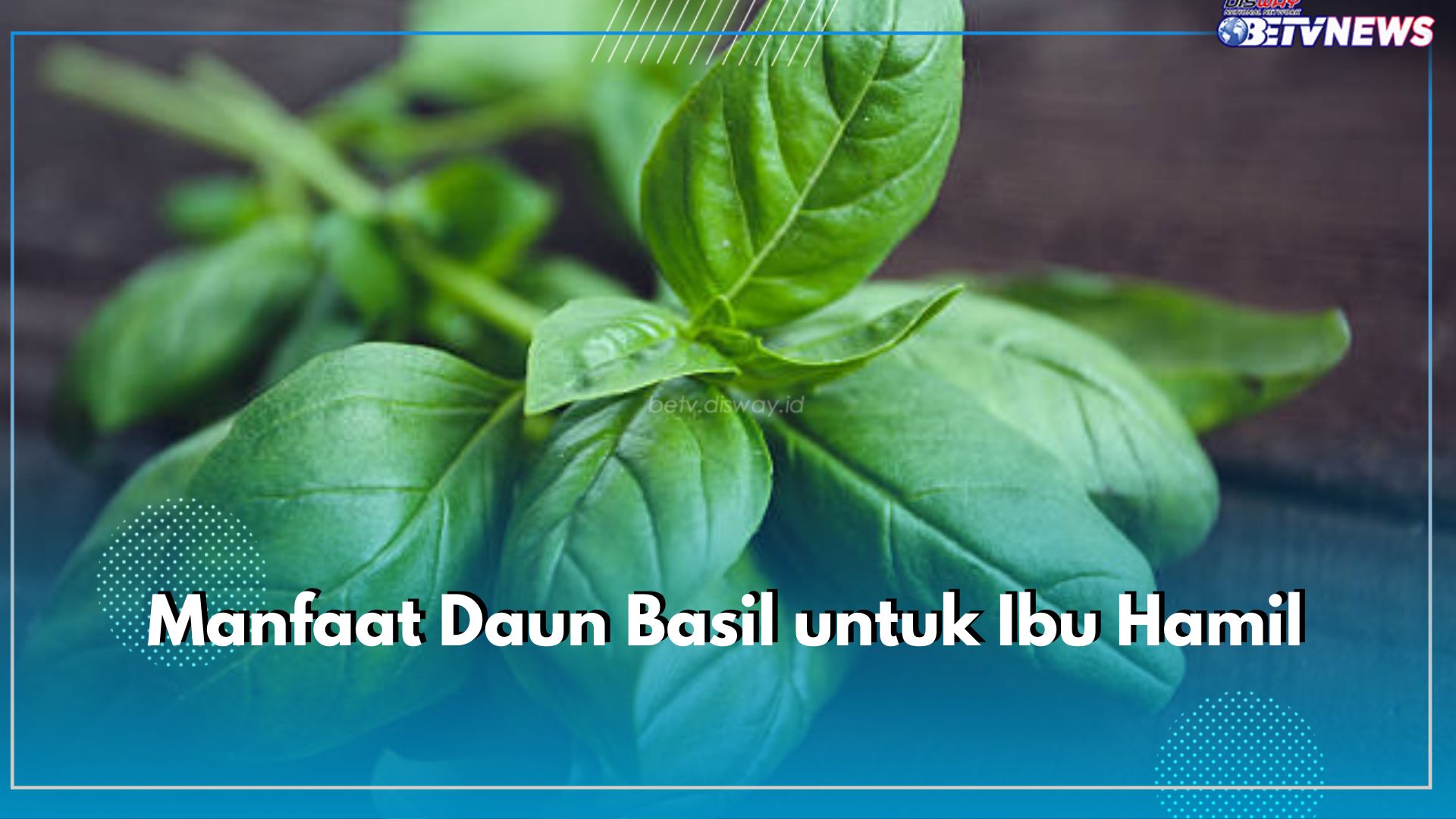 Tidak Banyak yang Tau, Ibu Hamil Boleh Mengonsumsi Daun Basil, Ini Manfaatnya Bagi Kandungan dan Janin