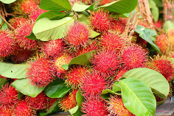 Jangan Kalap! Ini Masalah Kesehatan yang Akan Terjadi Jika Terlalu Banyak Konsumsi Rambutan