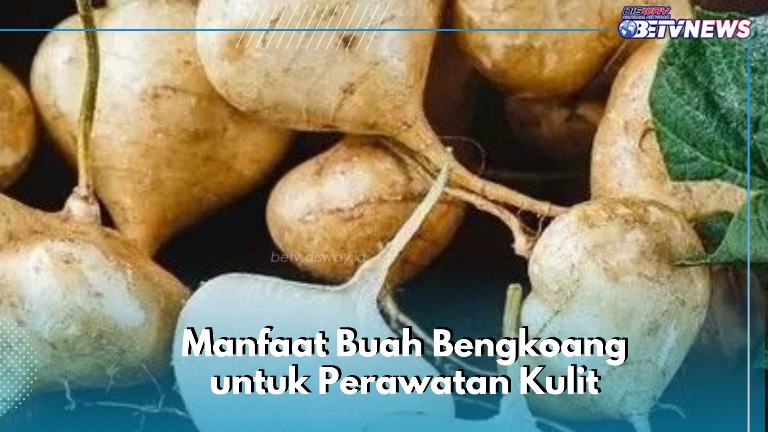 Manfaat Lain Buah Bengkoang untuk Perawatan, Cek Sekarang! Ampuh Mencerahkan Kulit