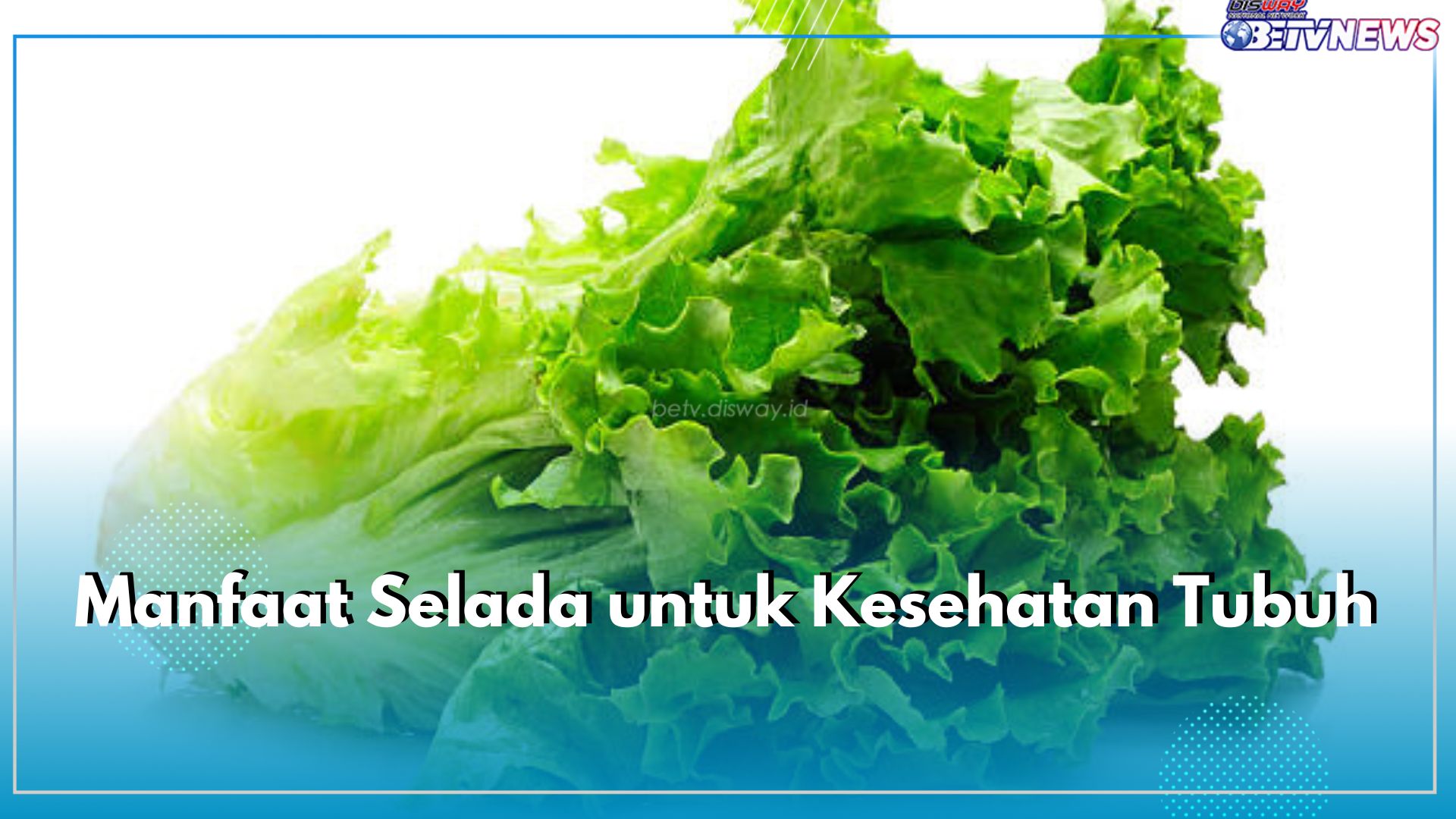 Sering Dikonsumsi Sebagai Lalapan, Ini 7 Manfaatnya untuk Kesehatan, Belum Banyak yang Tahu!