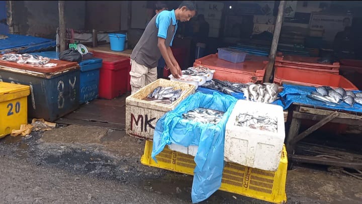 Tangkapan Nelayan di Bengkulu Melimpah, Segini Harga Ikan di TPI Pulau Baai