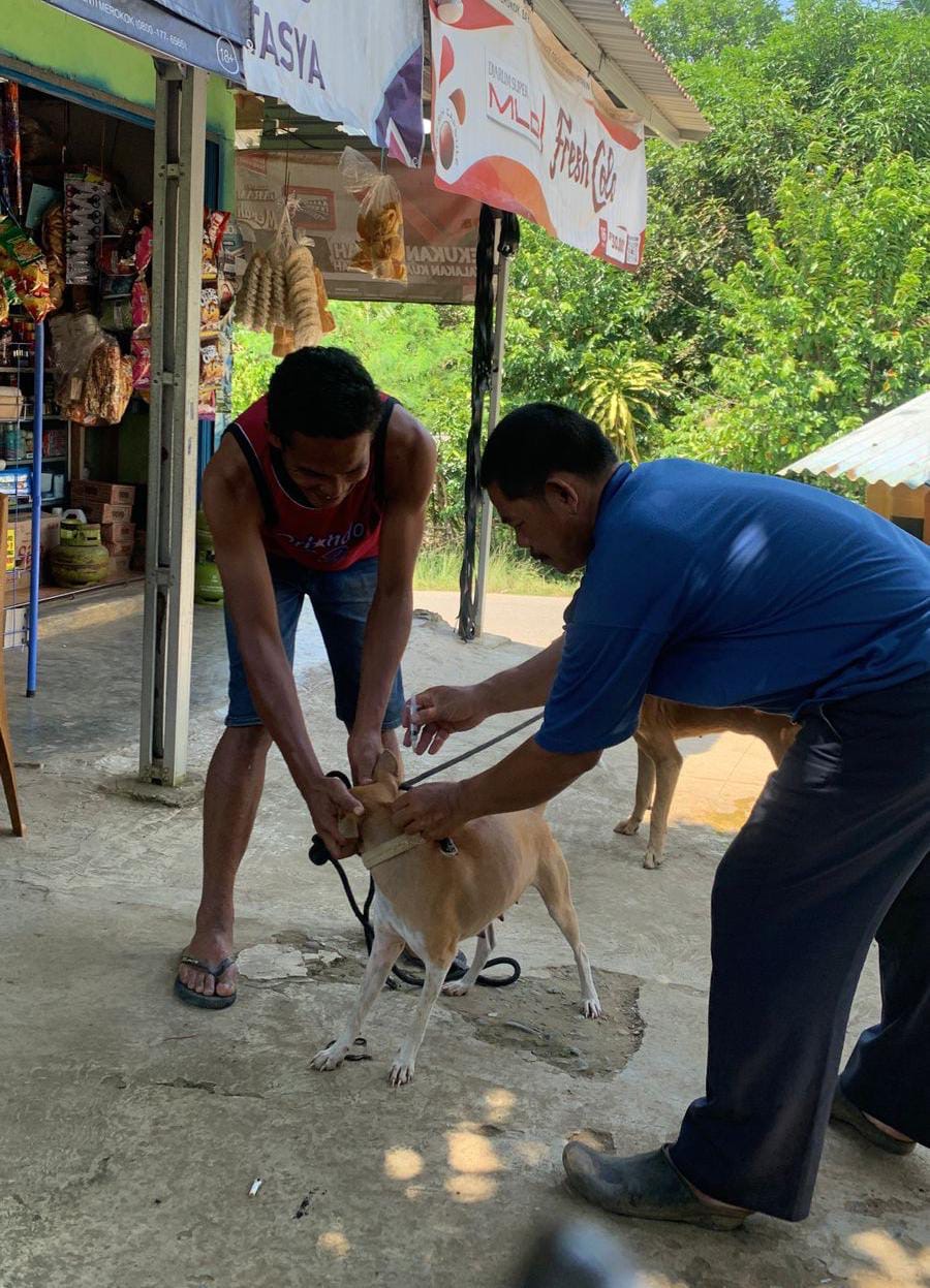 Proteksi Warga dari Bahaya Rabies, Pemkab Seluma Suntikkan 2.080 Dosis Vaksin HPR