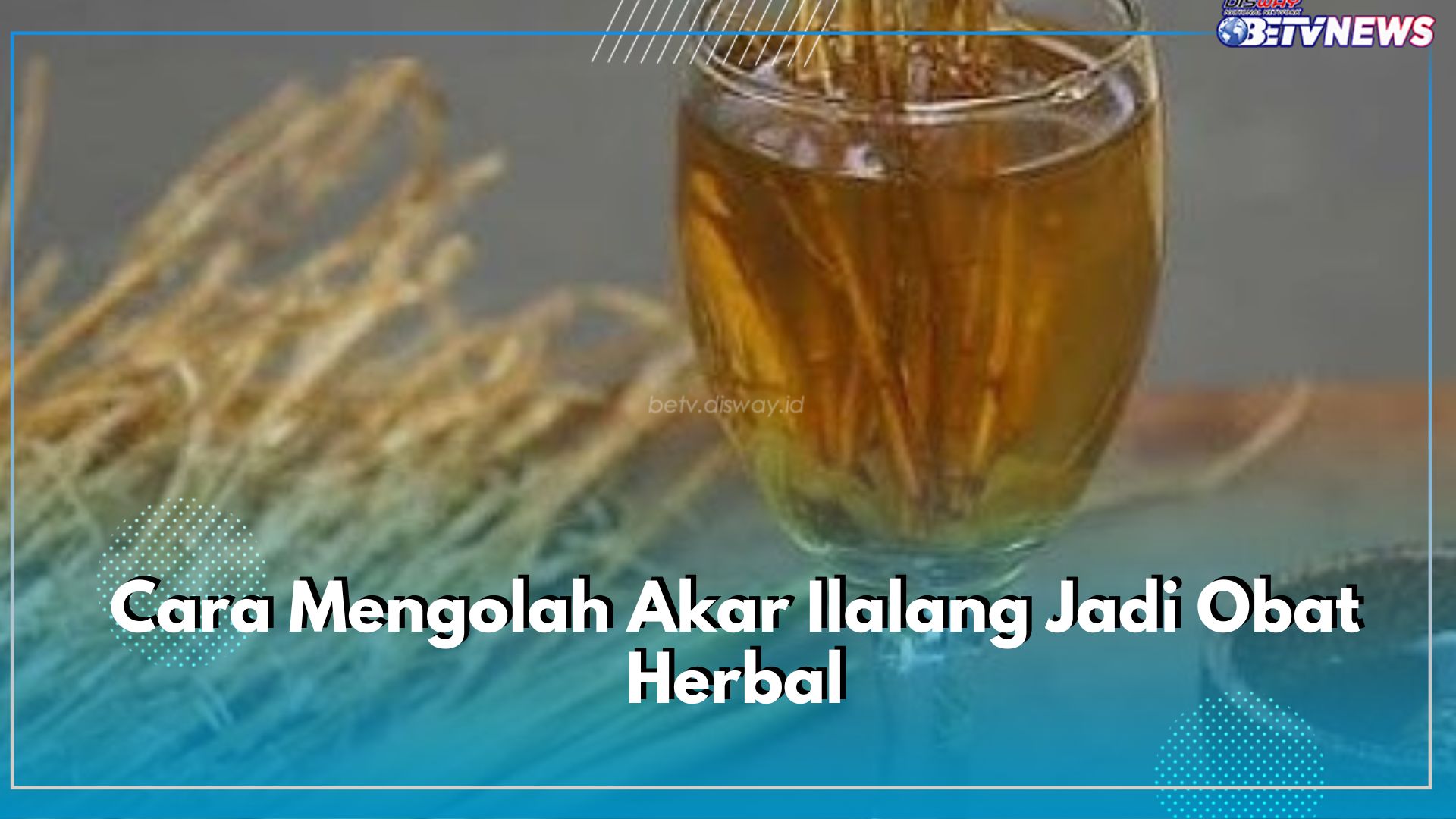 Cara Mengolah Akar Ilalang Jadi Obat Herbal, Ampuh Mengatasi Gangguan Saluran Kemih hingga Demam