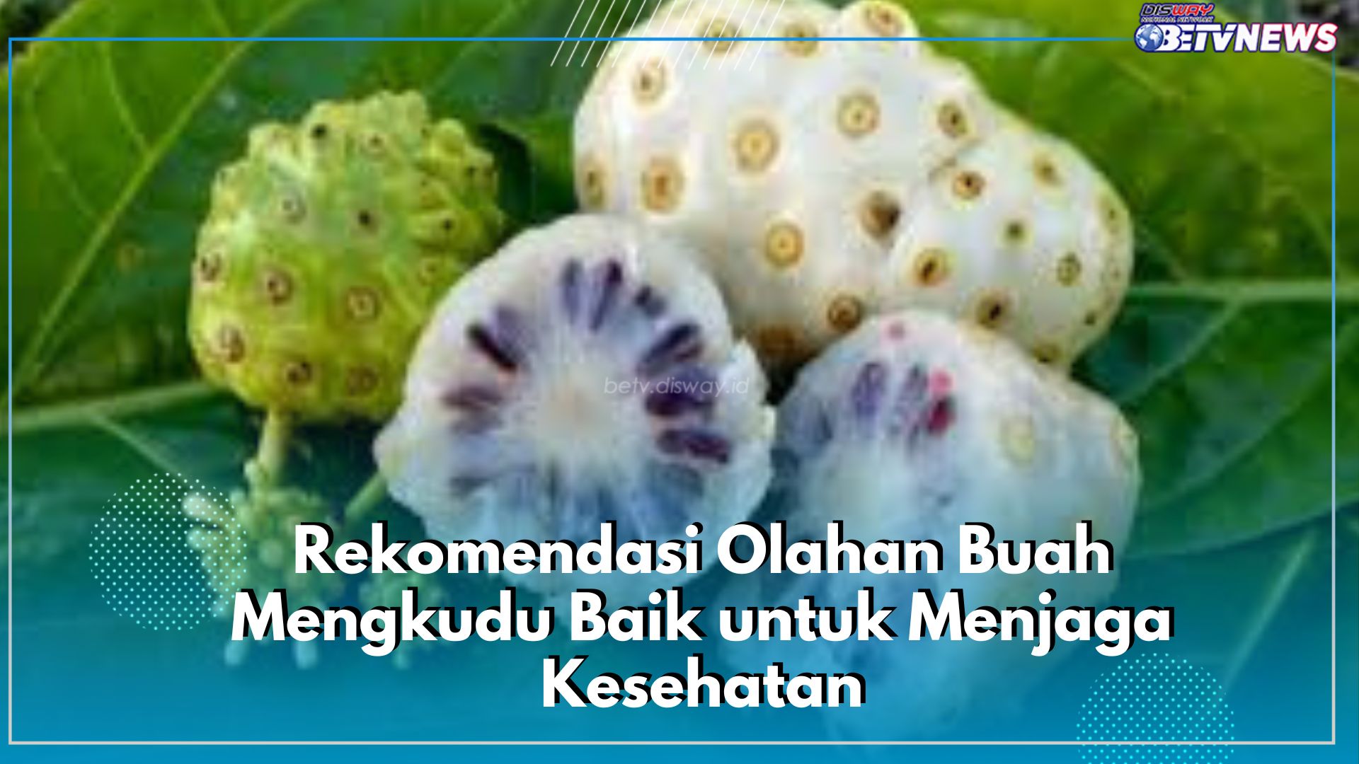 Jaga Kesehatan Tubuh hingga Atasi Penyakit, Ini 3 Cara Mengolah Buah Mengkudu yang Lezat