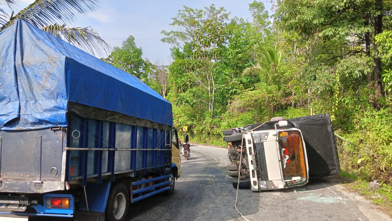 Dini Hari Tadi, Truk Plat H Terbalik di Jalinbar Sumatera Kaur