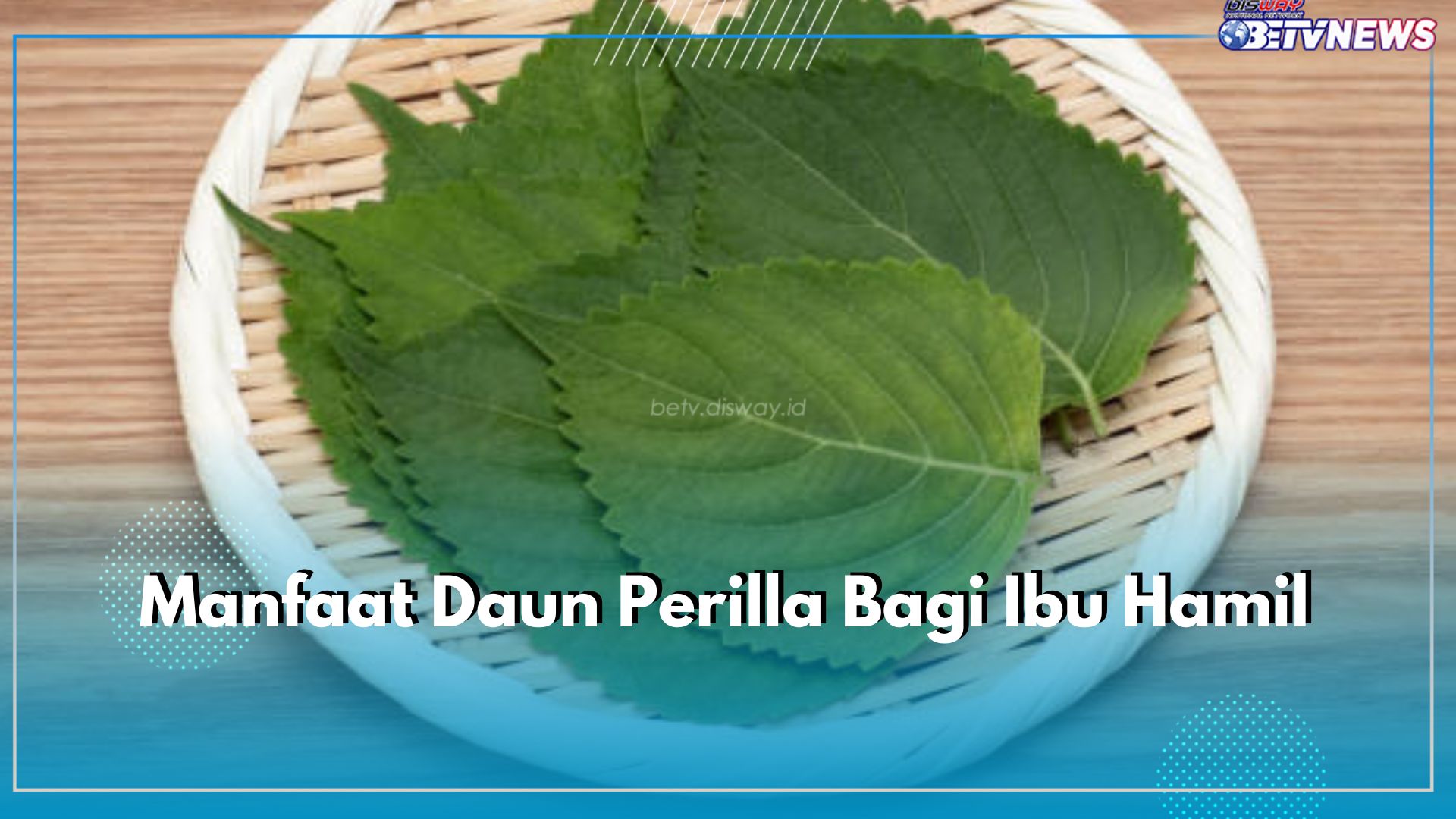 Daun Perilla Baik Dikonsumsi oleh Ibu Hamil, Ini 7 Manfaat yang Didapatkan untuk Kesehatannya