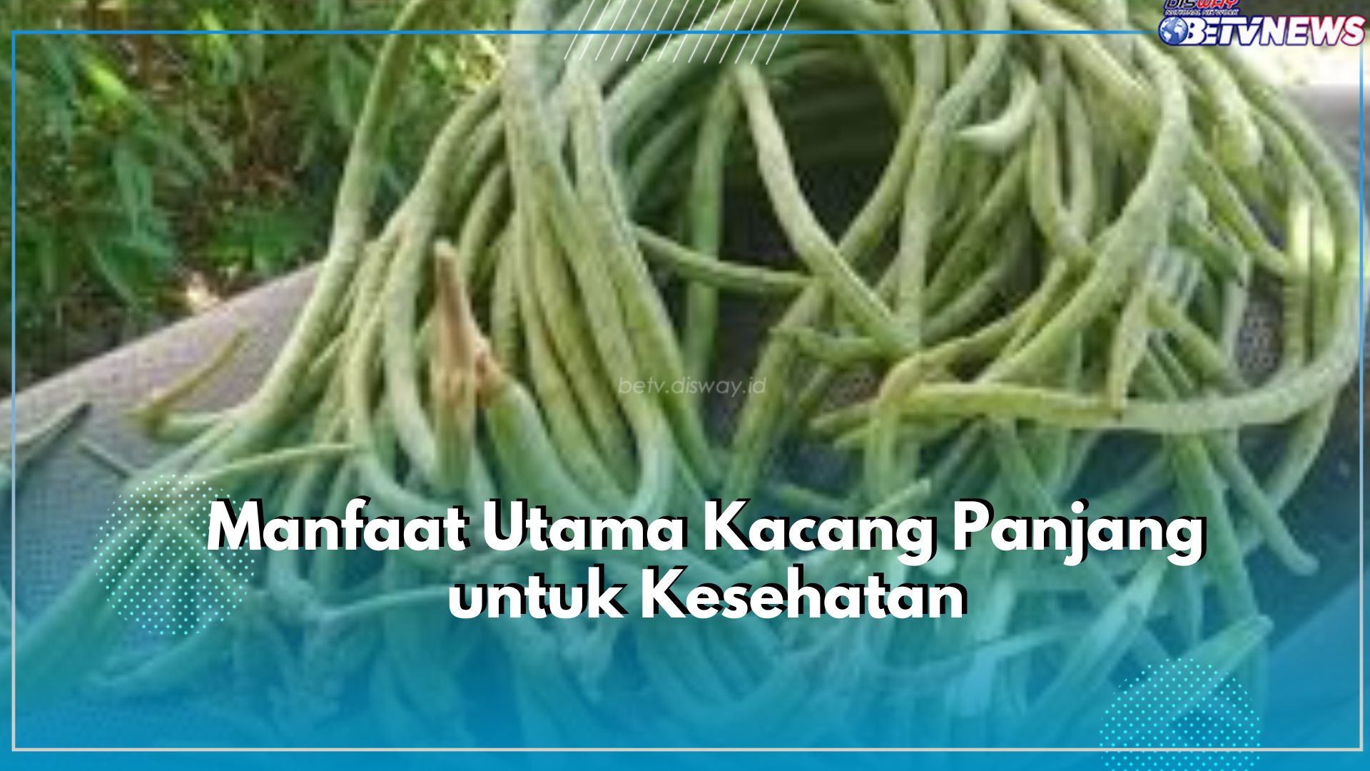 Klaim 7 Manfaat Utama Kacang Panjang untuk Kesehatan, Tak Terkecuali Dapat Kurangi Risiko Asam Urat