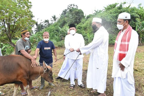 Hari Raya Idul Adha 1445 H, Pemkab Seluma Siapkan 5 Ekor Sapi untuk Kurban