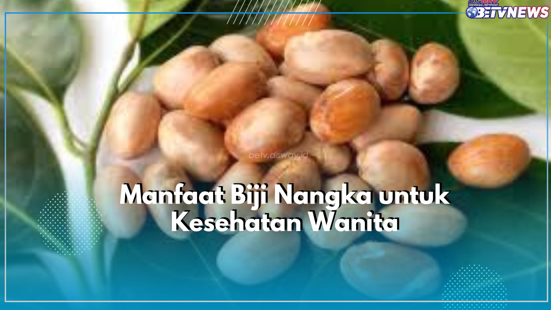 Klaim Manfaat Istimewa dari Biji Nangka untuk Kesehatan Wanita, Salah Satunya dapat Menjaga Kesehatan Rambut
