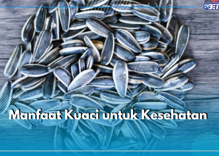 Makan Kuaci Dapat Menjaga Kulit, Cek 5 Manfaat Lainnya untuk Kesehatan di Sini