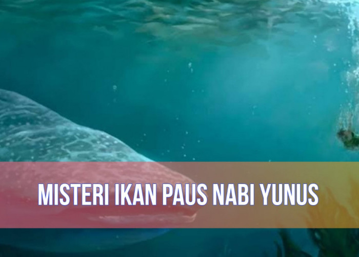 Misteri Ikan Paus yang Menelan Nabi Yunus, Benarkah Masih Hidup Sampai Sekarang?