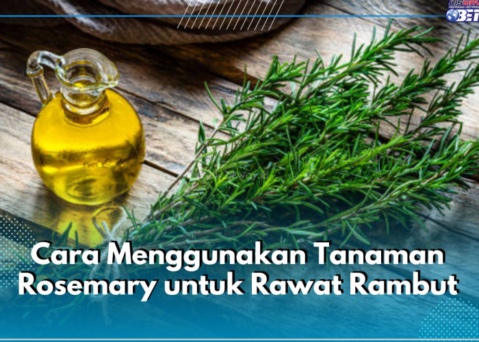 5 Cara Gunakan Rosemary untuk Rawat Rambut, Salah Satunya Pakai Rosemary Oil