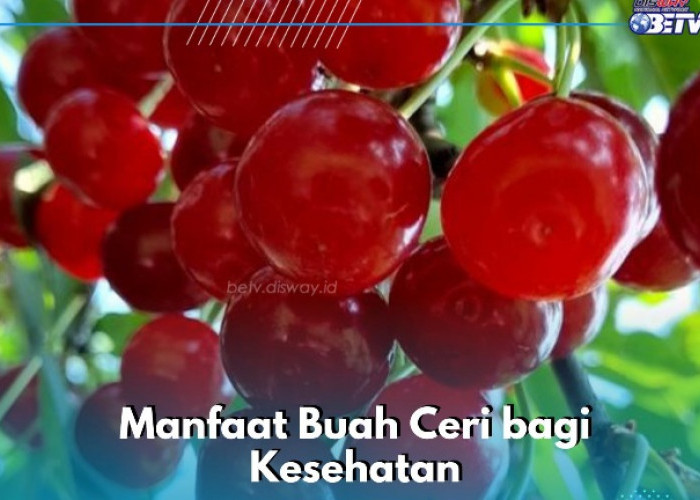 Konsumsi Ceri Sehari-hari Bisa Mengatasi Peradangan, Ini Manfaat Lengkapnya