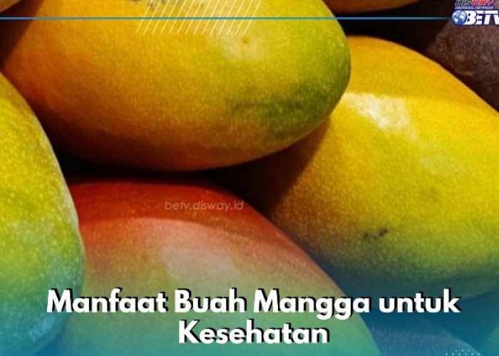 Buah Mangga Ampuh Meredakan Sembelit, Cek Manfaat bagi Kesehatan di Sini