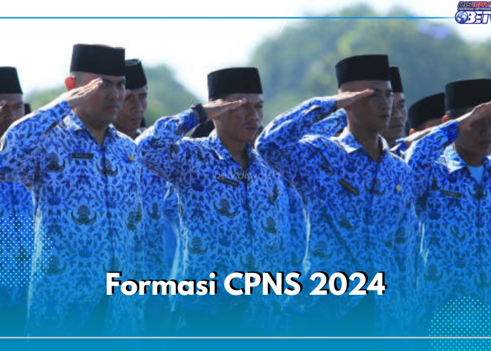 Seleksi CPNS 2024 : Cara Daftar, Syarat Lengkap, dan Formasi yang Tersedia