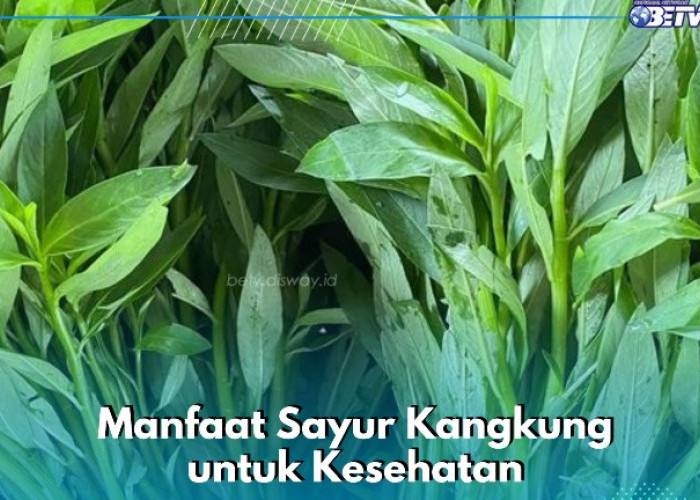 Sayur Kangkung Ini Antiradang, Cukup Konsumsi Secara Rutin, Cek Manfaatnya di Sini