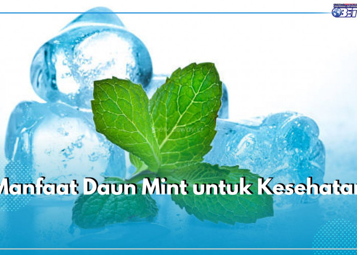 Dikenal Menyegarkan, Ini 5 Manfaat Daun Mint untuk Kesehatan, Bisa Bantu Lancarkan Pencernaan 