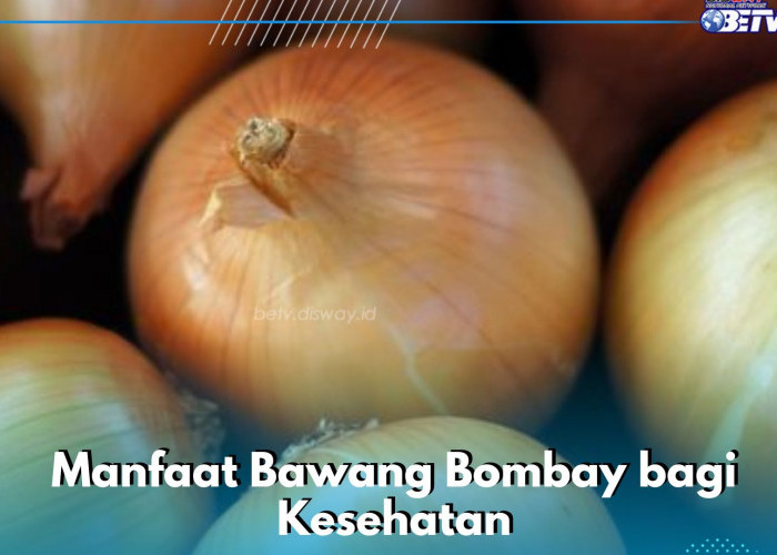 Cek Manfaat Bawang Bombay bagi Tubuh di Sini, Ampuh Menjaga Tekanan Darah