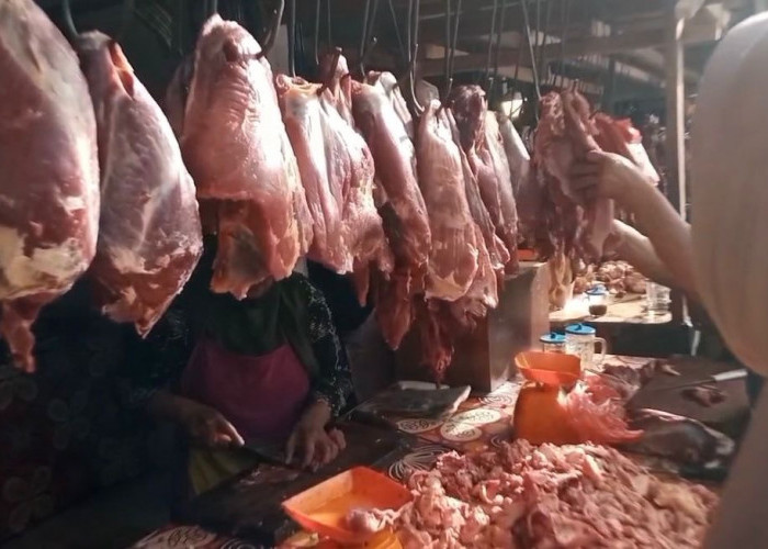 Update Harga Pangan di Bengkulu: Beras dan Cabai Stabil, Harga Daging Sapi Serta Ayam Justru Melonjak